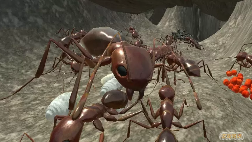 蚂蚁模拟3D安卓正版