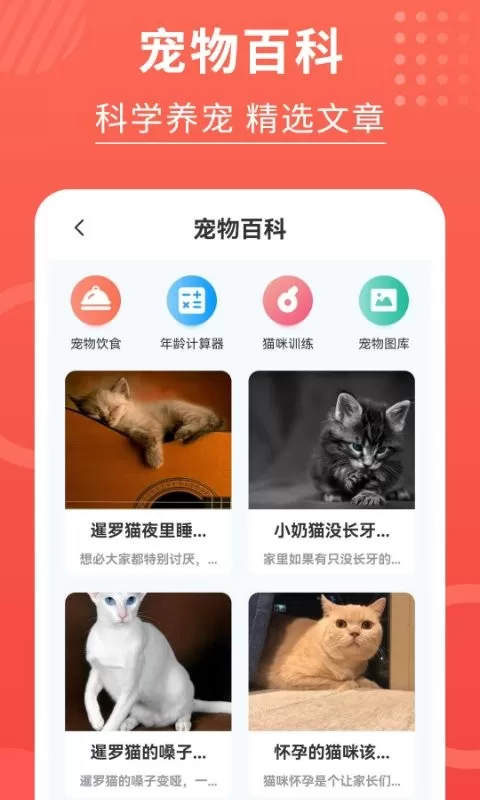 猫猫翻译器官方版下载图0