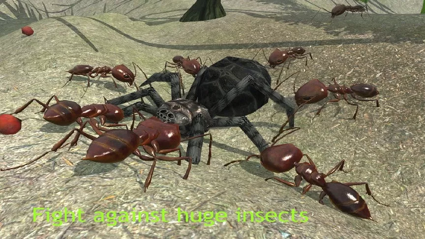 蚂蚁模拟3D安卓正版图0