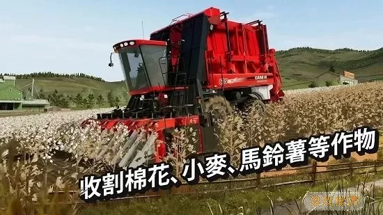 FS 20正版下载