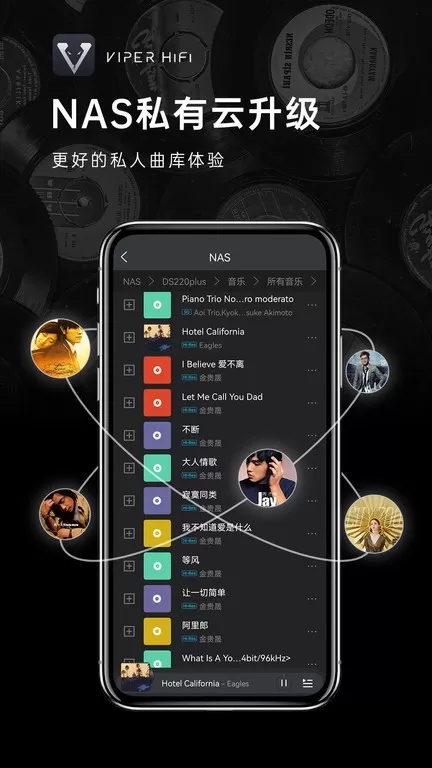 VIPER HiFi正版下载图0