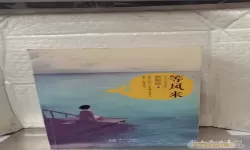 宝书小说旧版本好看吗