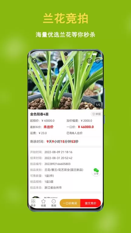 兰花交易网免费下载图1