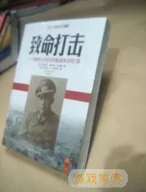 致命打击回忆录在线阅读