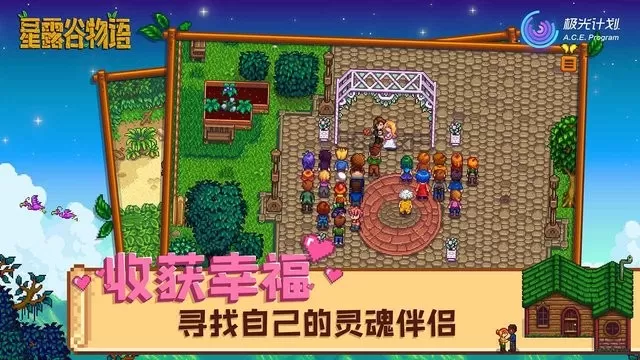 Stardew Valley官方正版图2