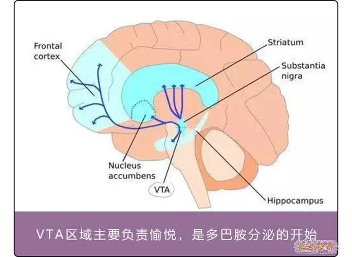 释放VTA脑区域GABA的中药