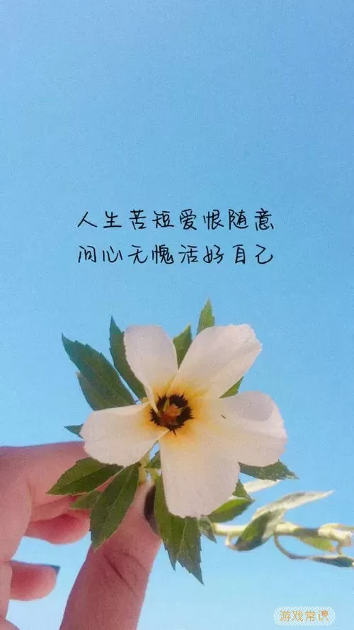 笔芯阅读闪退