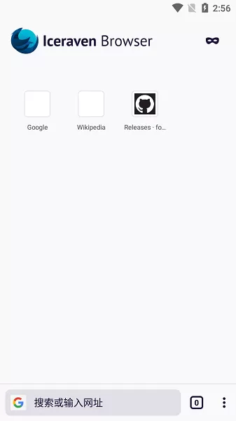 Iceraven浏览器官网版app图1