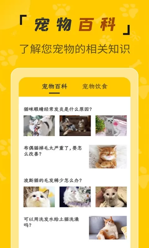 人猫翻译机下载安卓版图2