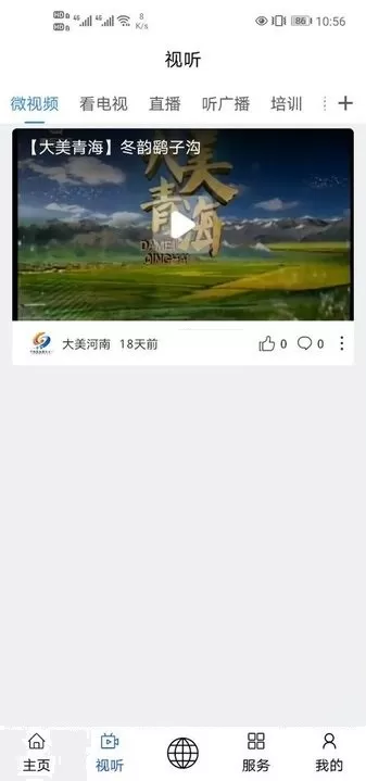 大美河南下载最新版本图1