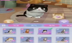 时光公主怎么照顾猫