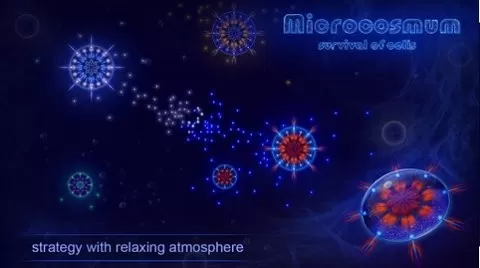 microcosmum最新版2024图0