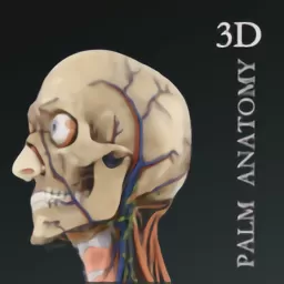 掌上3D解剖官方正版下载