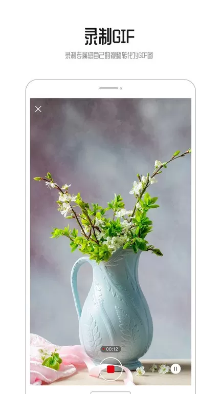 GIF动图app最新版图2