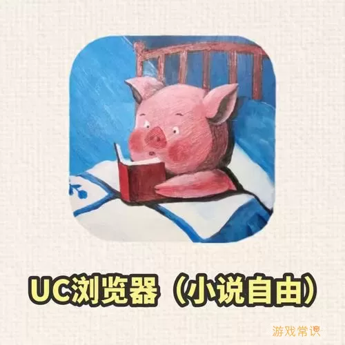 兜看小说是防盗版的吗