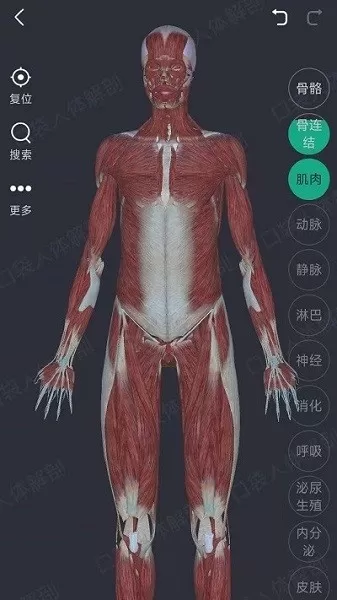 万康人体解剖app最新版图0