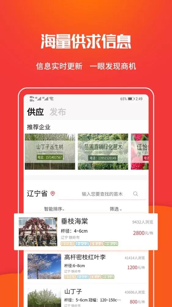 苗木网老版本下载图1