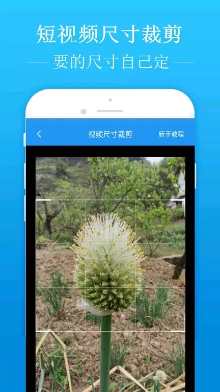 去水印吧app安卓版图2