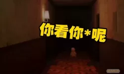 黄衣宝宝第二季