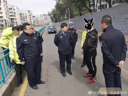 保定交警六大队电话是多少