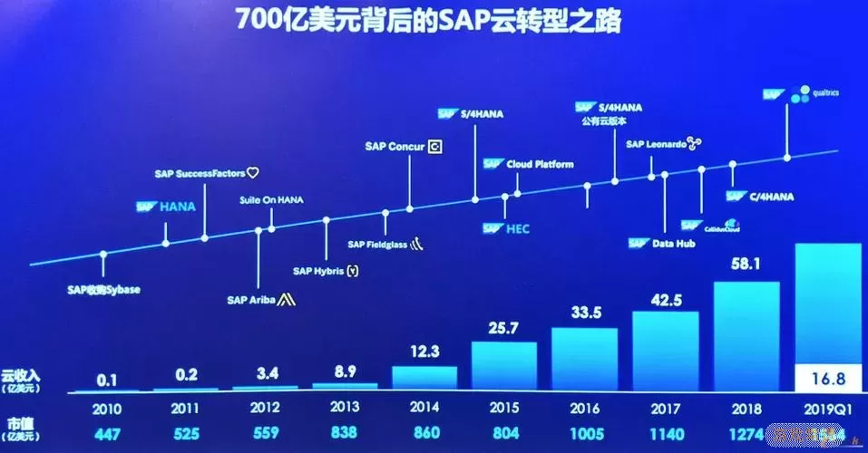 SAPconcur往年数据分析