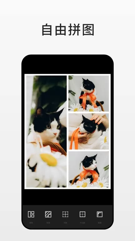 Fotorapp最新版图1