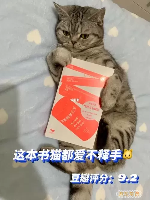 爱书猫读书共享群