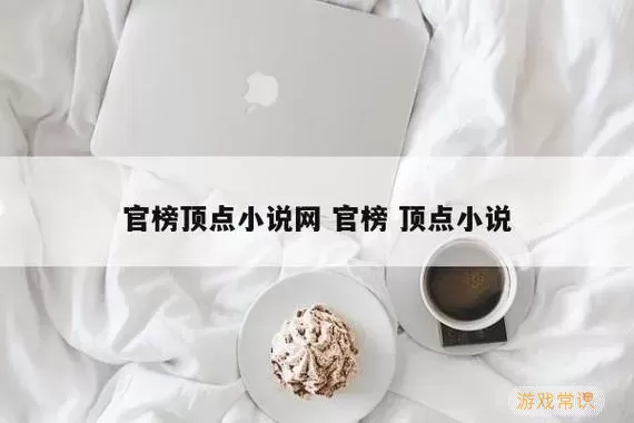 顶点读书网read