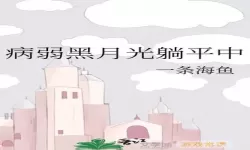 海鱼小说纯净版