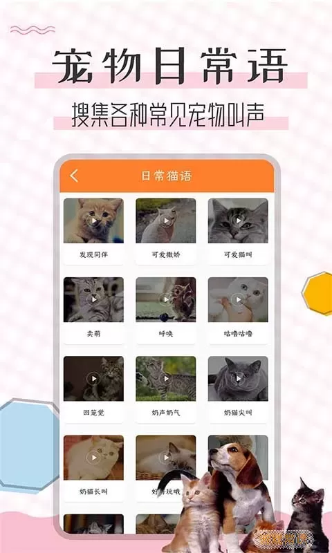 猫语翻译宝2024最新版