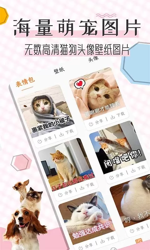 猫语翻译宝2024最新版图0