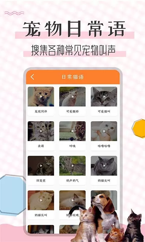 猫语翻译宝2024最新版图2