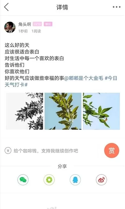 自贡在线官网正版下载图1