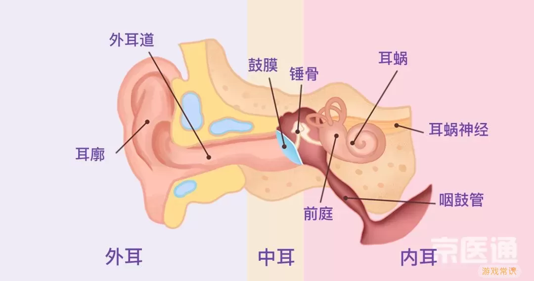 海绵体损伤怎么修复