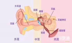 海绵体损伤怎么修复