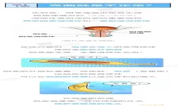 海绵体有硬块怎么回事