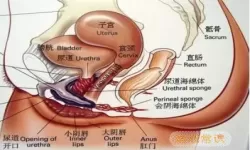 海绵体偶尔隐隐作痛