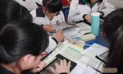 可汗学院小学数学视频全集