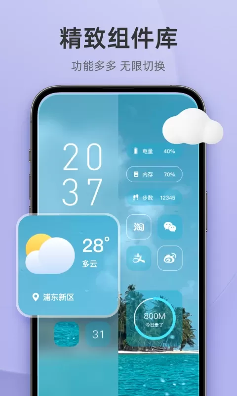 In Widget2024最新版图2