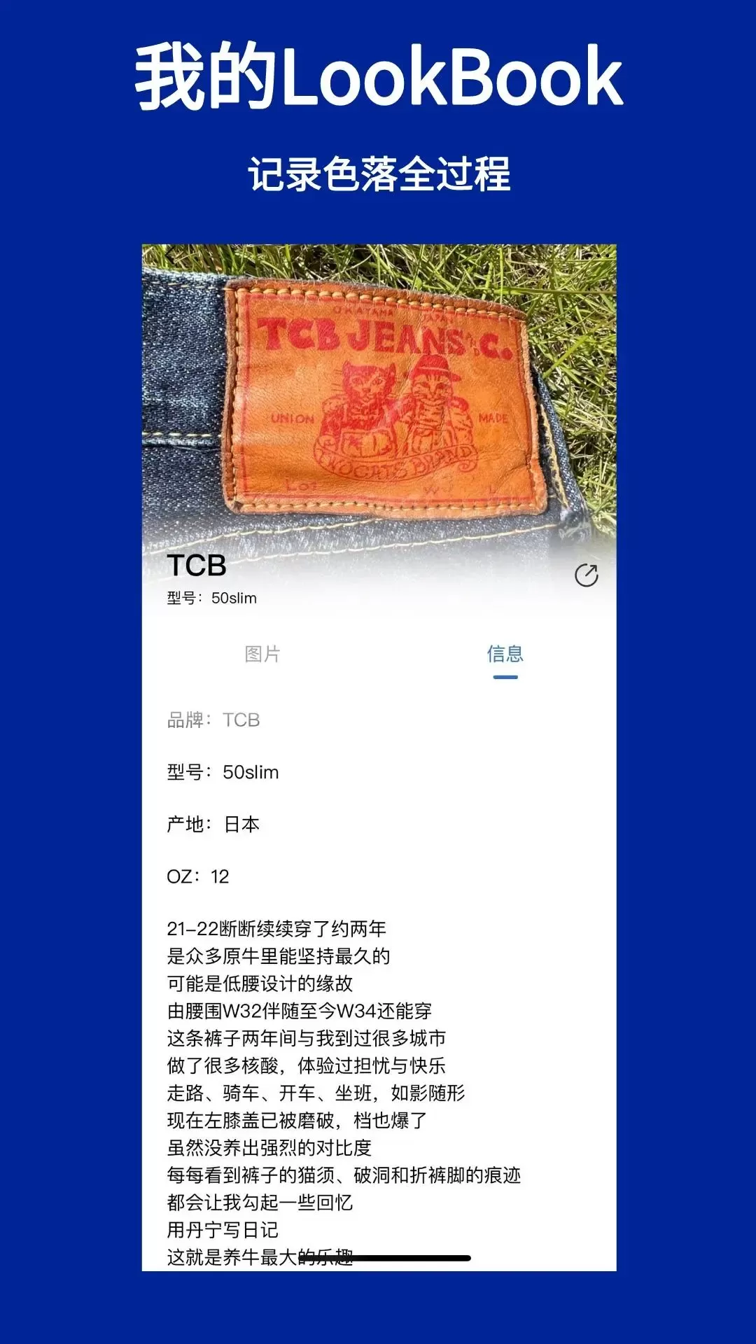 TheLookBook官方正版下载图1