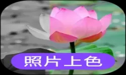 Whispers是什么意思