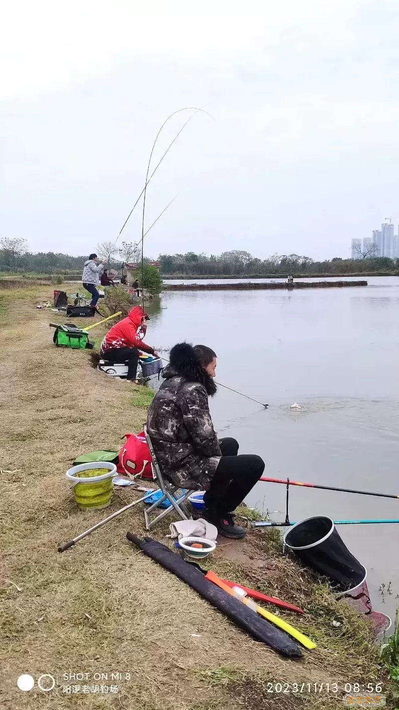 爱钓鱼的人一般婚姻多久结束