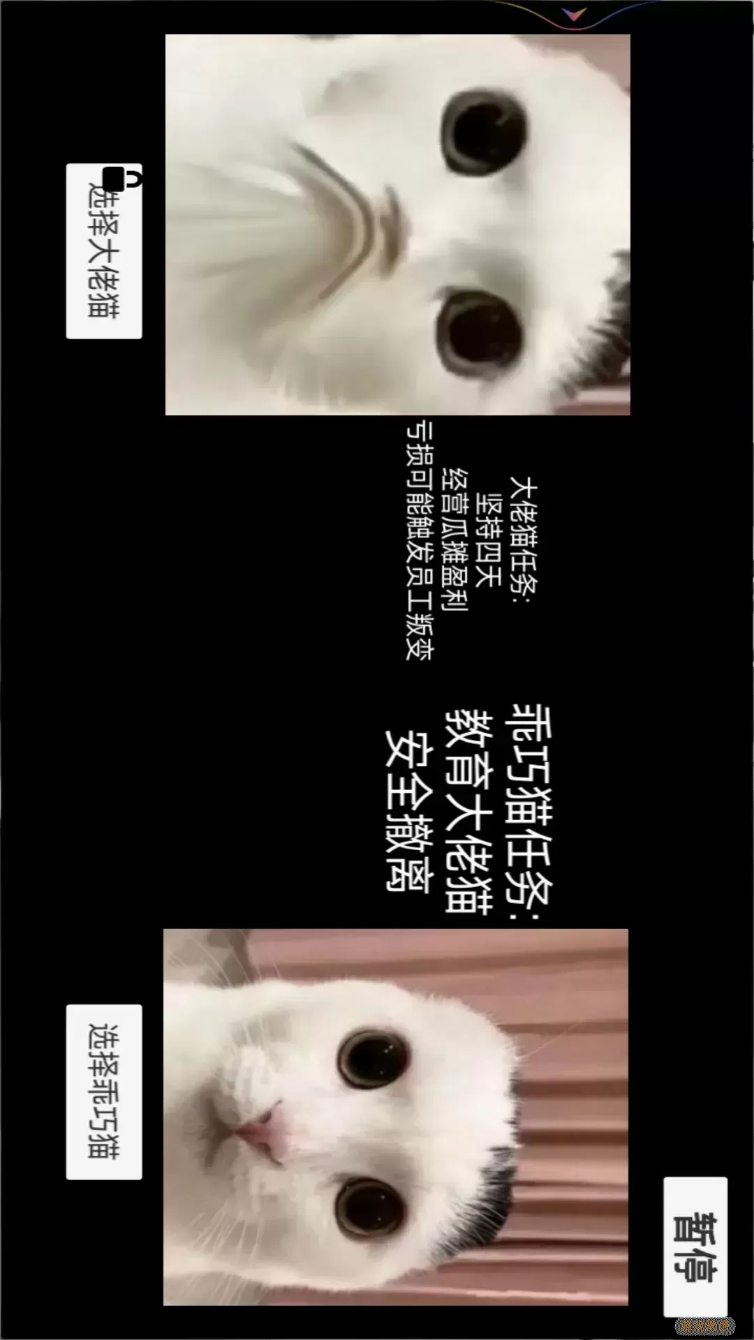 猫猫惊魂夜手机版