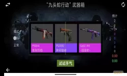 开箱模拟器csgo真实么