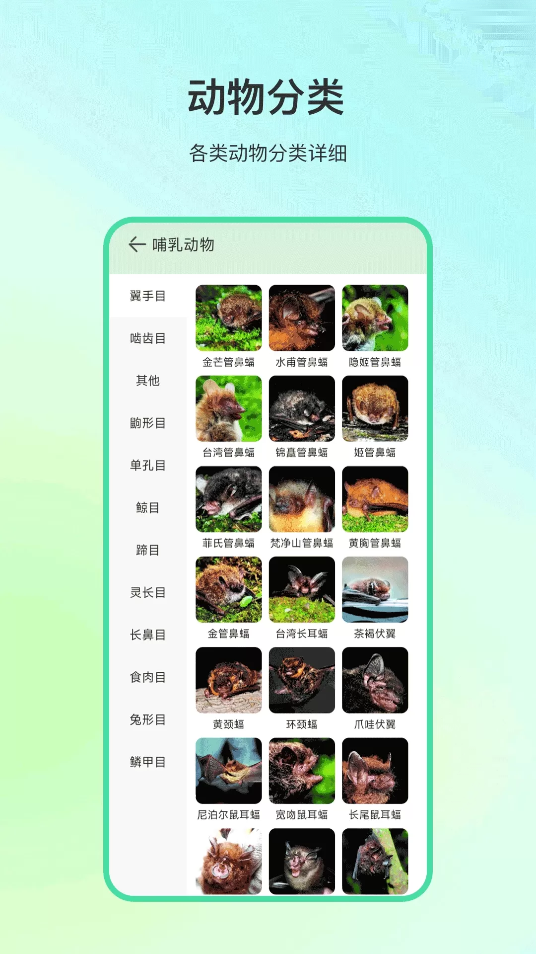 动物百科下载最新版图1