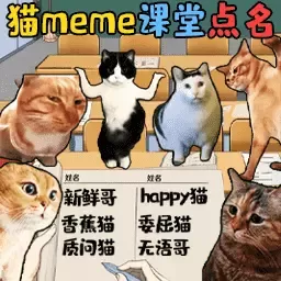 猫meme热梗游戏官网版