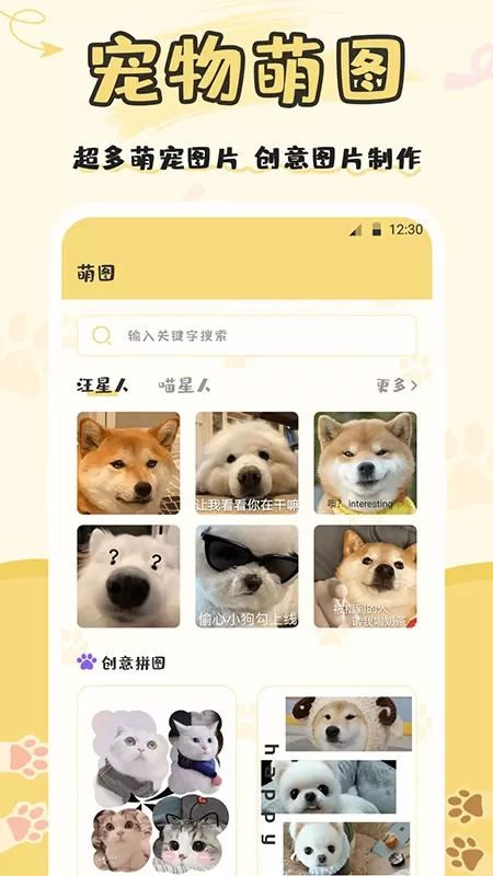 猫语交流下载最新版图3