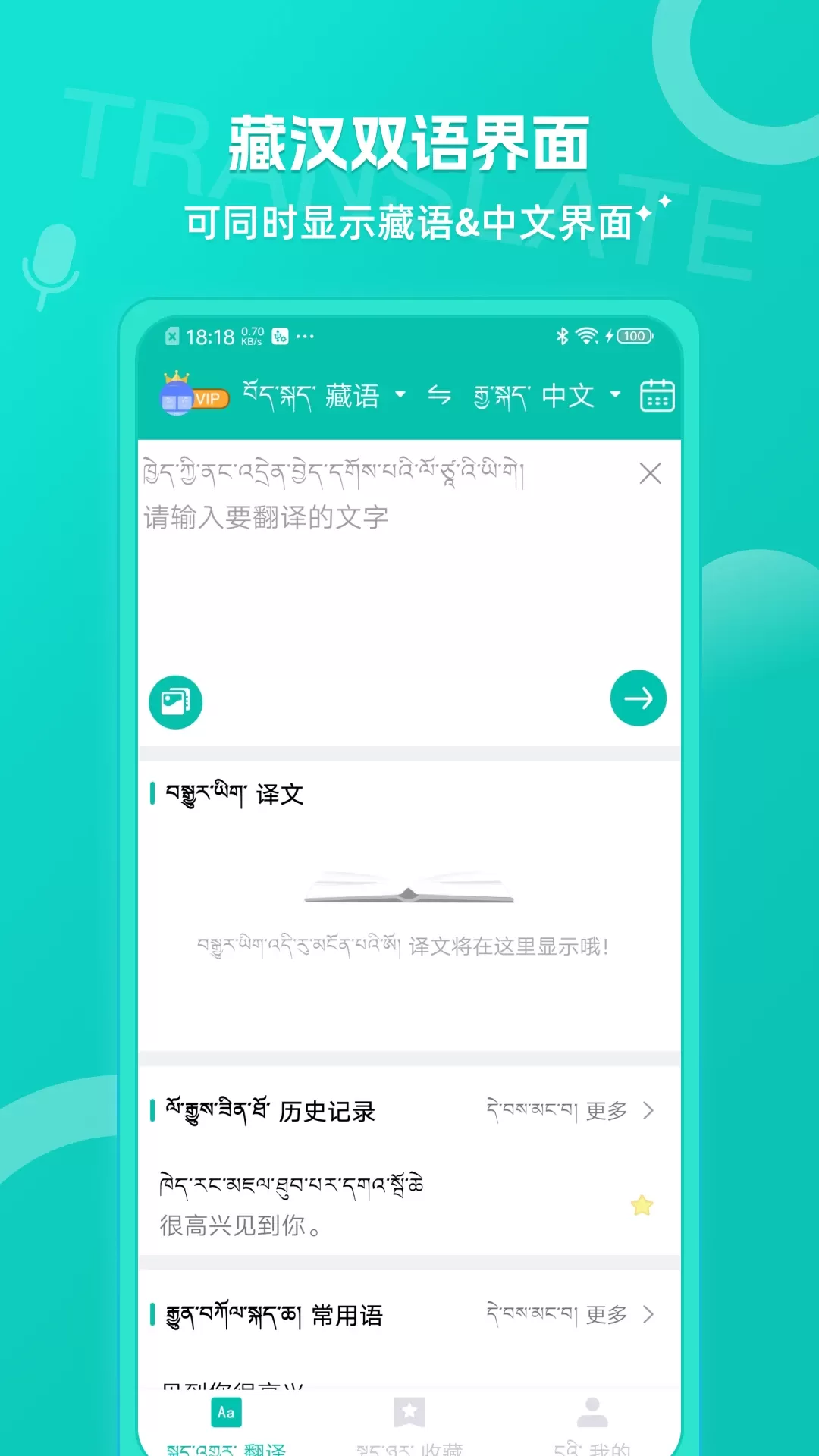 藏英翻译下载app图2