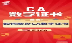 上海人社一直显示ca证书错误