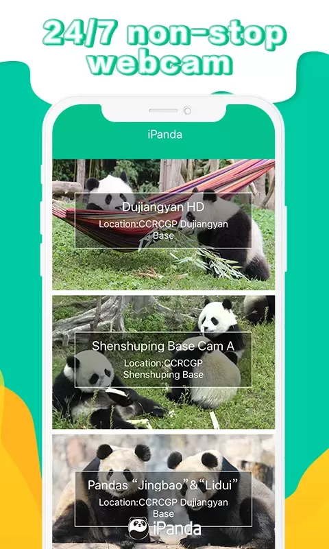 iPanda下载官方版图1